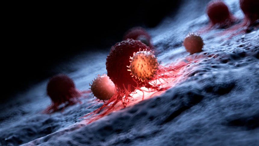 Cancer biologists perceive new drug mixture