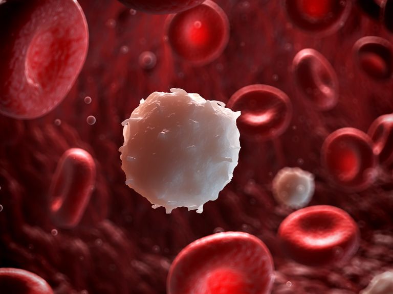 Local cancer patient website hosting blood pressure