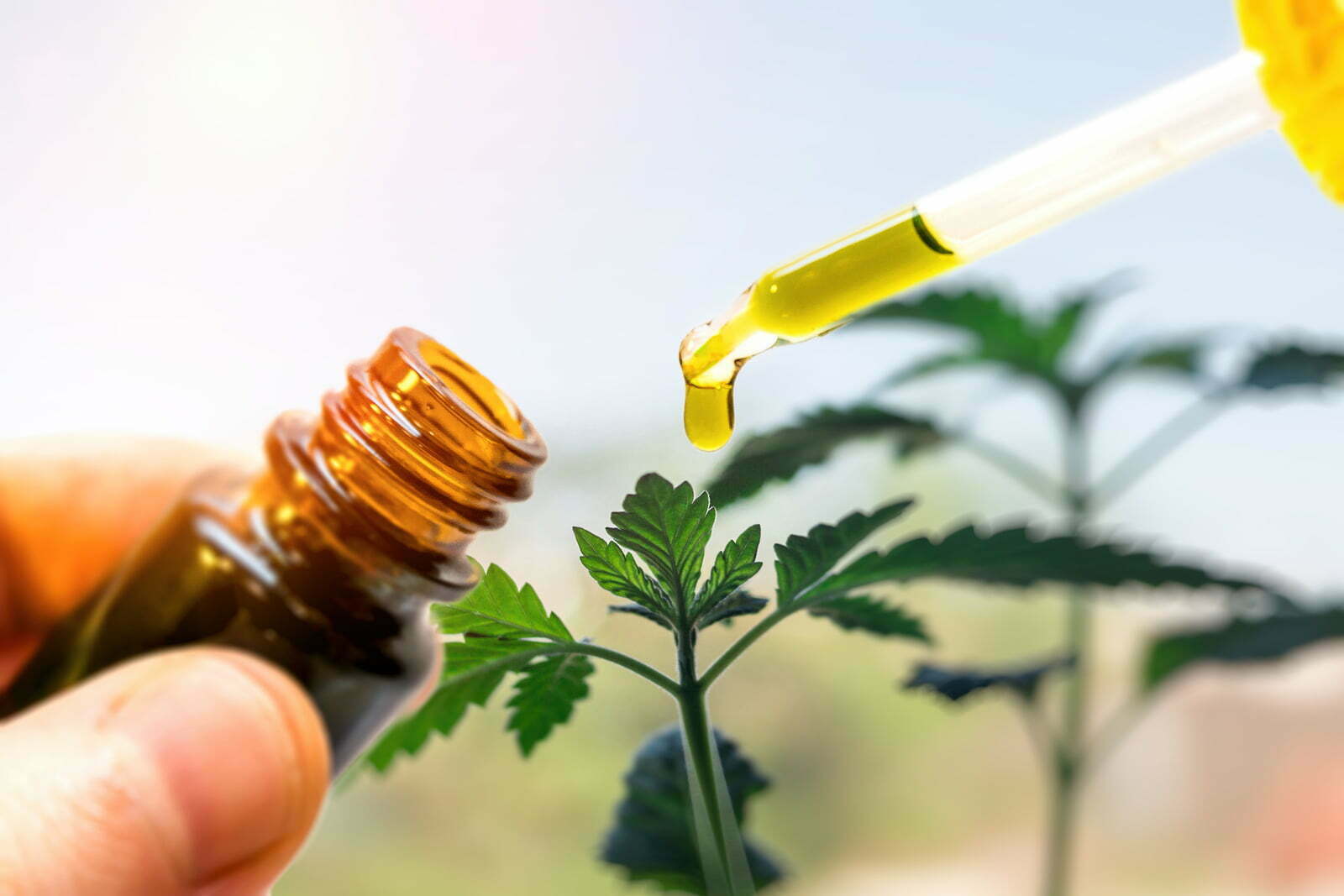 4 Best Hemp Oils for Pain