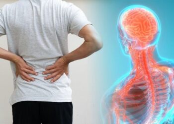 Symptoms Of Cervical Cancer Back Pain