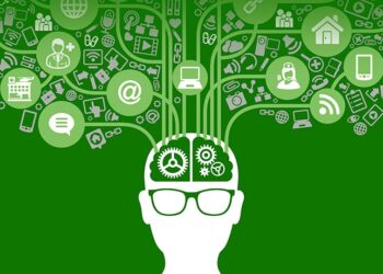 Brain Injury Alliance Minnesota