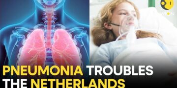 Pneumonia outbreak hits Netherlands
